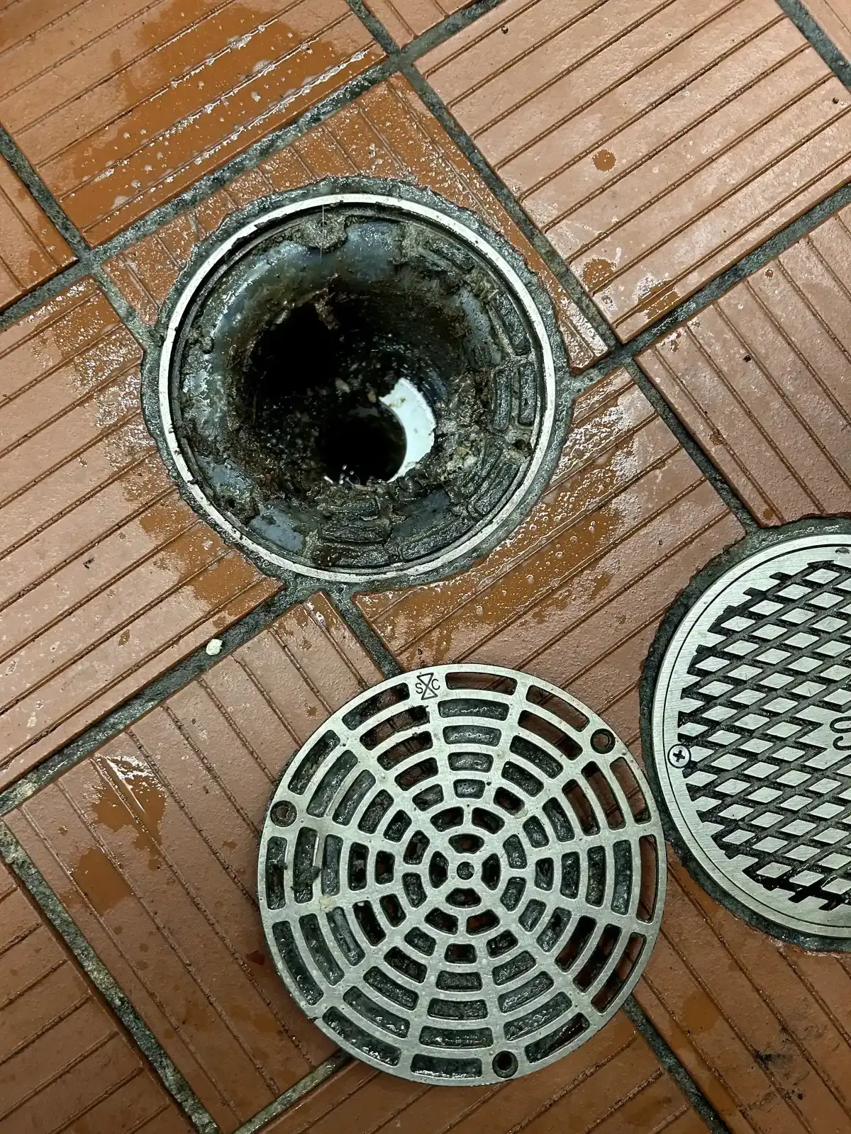Before cleaning